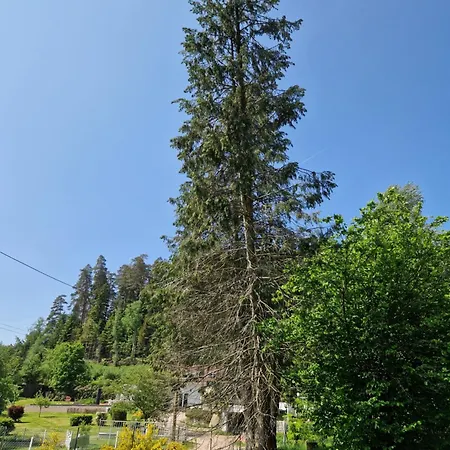 別荘 Les Temps Calmes