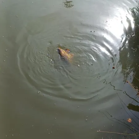 Les Temps Calmes 別荘 Biffontaine