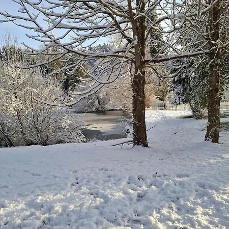 Les Temps Calmes Biffontaine