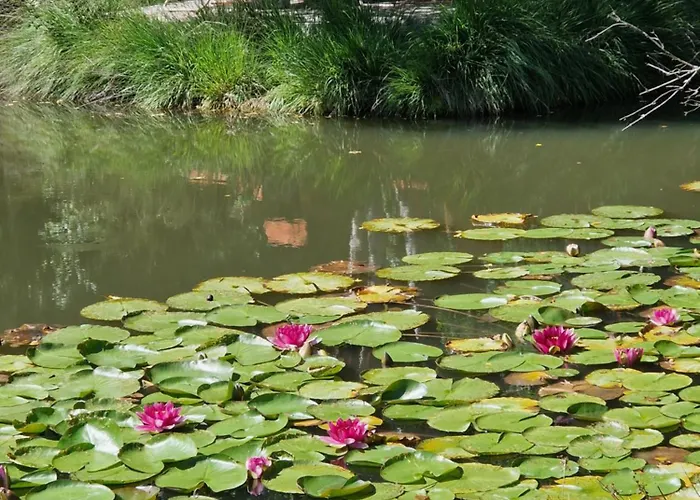 펜션 Les Temps Calmes