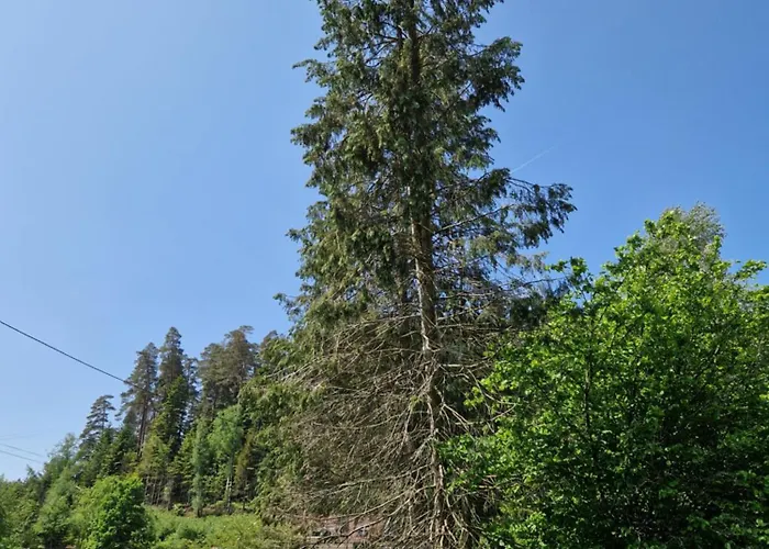 펜션 Les Temps Calmes