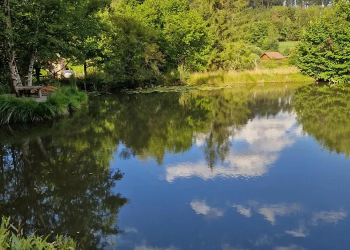 Les Temps Calmes * Biffontaine