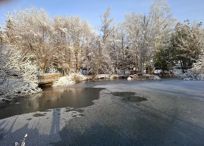 Les Temps Calmes 펜션 Biffontaine