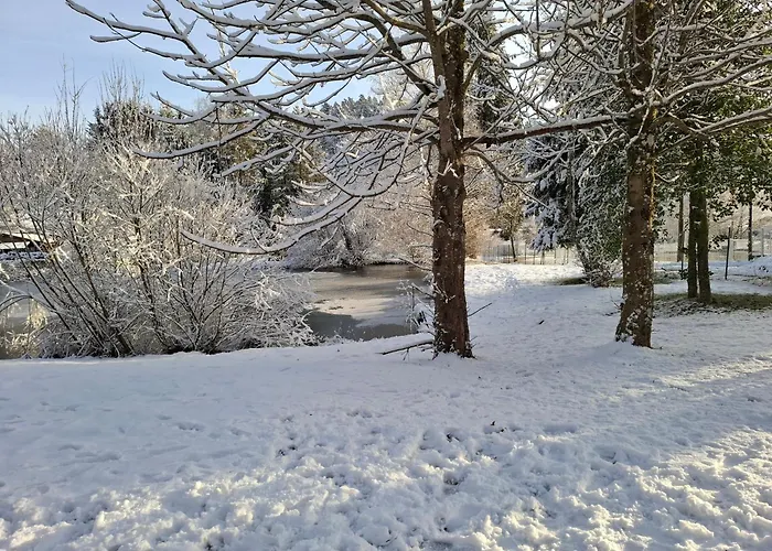 Les Temps Calmes Biffontaine